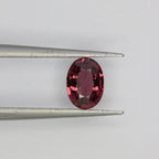 1ct Garnet