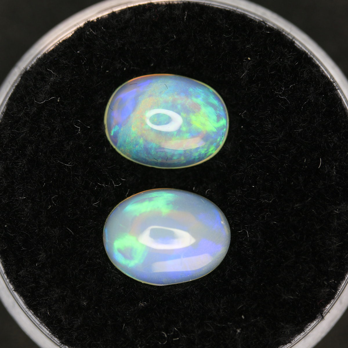 2.3ct Opal Welo Pair