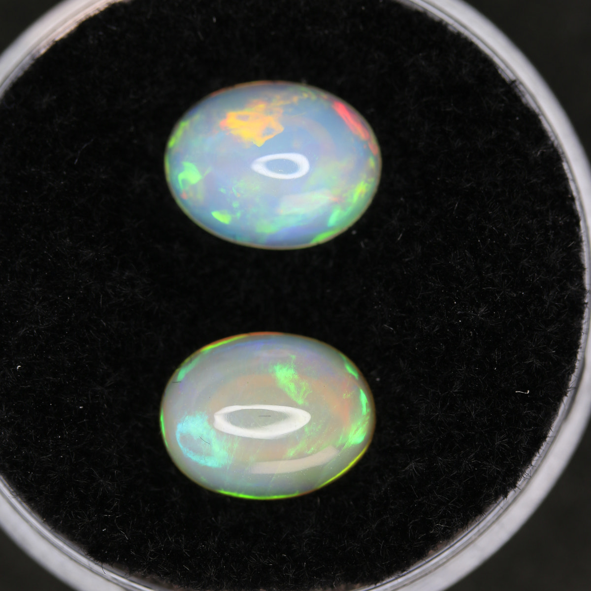2.3ct Opal Welo Pair