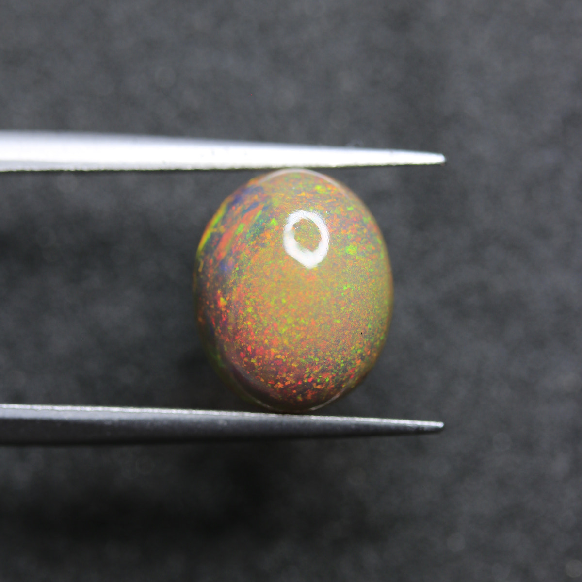 2.5ct Opal Welo