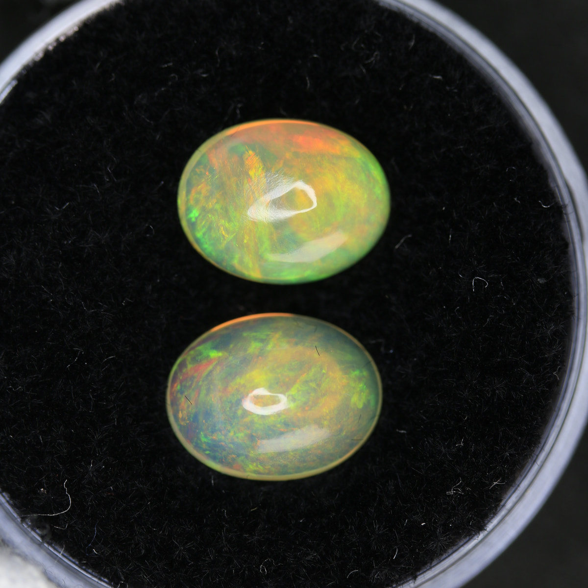 2.73ct Opal Welo Pair