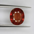 2.81ct Garnet Spessarite