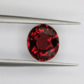 2.9ct Garnet Rhodolite