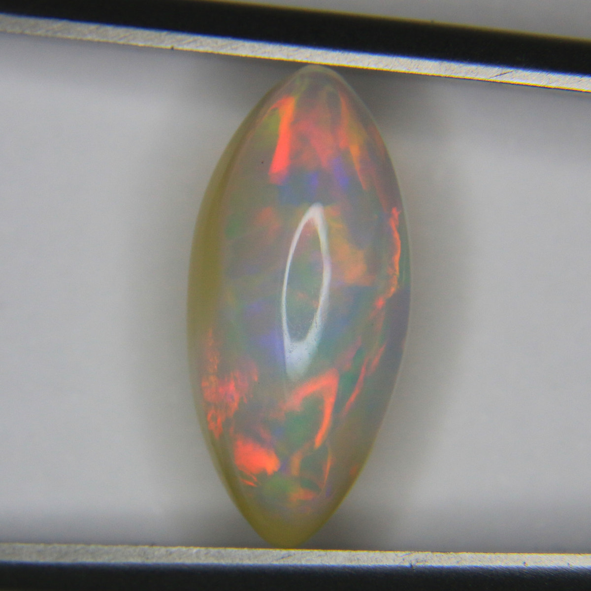 2.9ct Opal Welo - alternate view 2