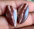 20.25ct Coconut Jasper Pair