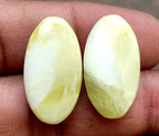 21.7ct American Jasper Pair - alternate view 3