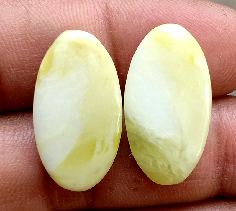 21.7ct American Jasper Pair