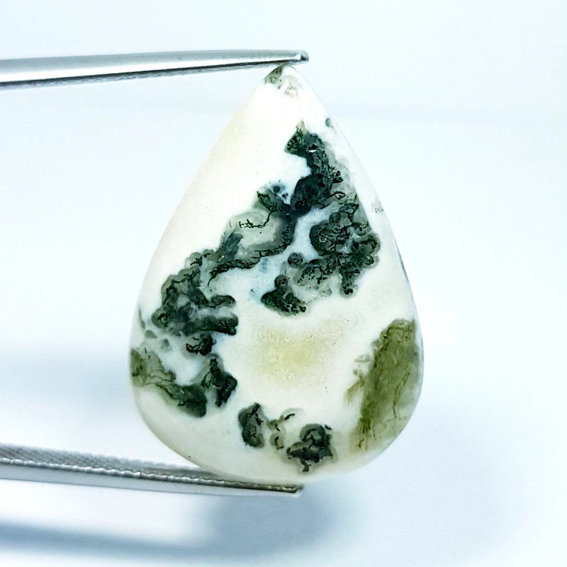 21.86ct Tree Jasper - alternate view 2