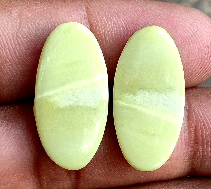 22.45ct American Jasper Pair