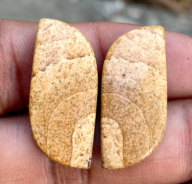 24.05ct Picture Jasper Pair - alternate view 2