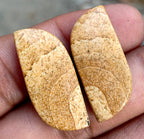 24.05ct Picture Jasper Pair - alternate view 3