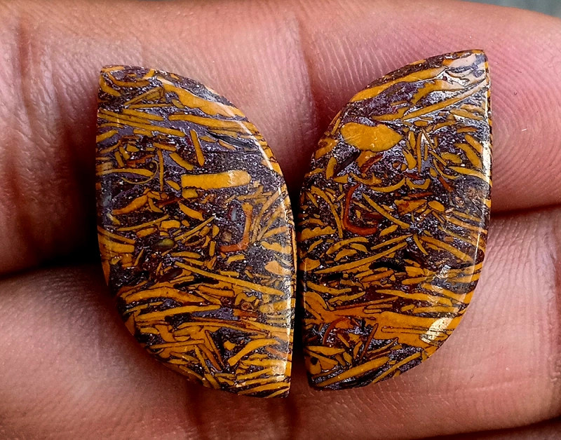 24.7ct Marium Jasper Pair