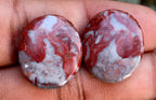 24ct Sarapee Jasper Pair - alternate view 2