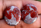 24ct Sarapee Jasper Pair