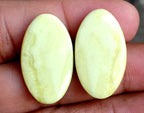 25.8ct American Jasper Pair - alternate view 2