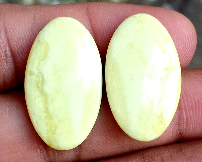 25.8ct American Jasper Pair - alternate view 3