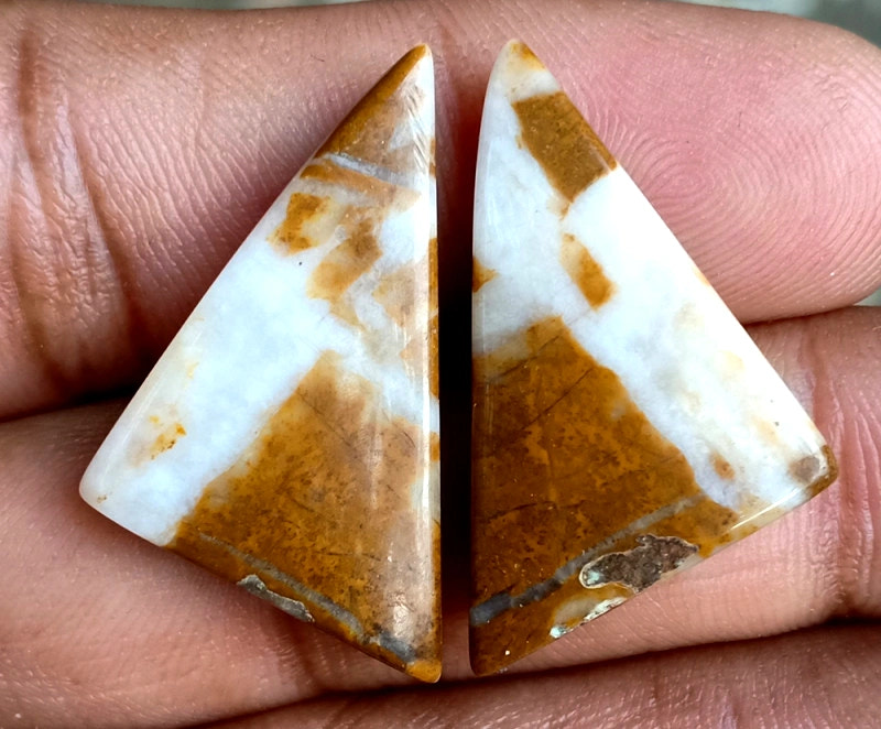 26.65ct Brown Palm Jasper Pair