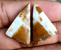 26.65ct Brown Palm Jasper Pair