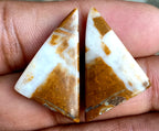 26.65ct Brown Palm Jasper Pair