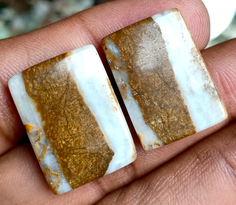 27.25ct Brown Palm Jasper Pair - alternate view 3