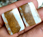 27.25ct Brown Palm Jasper Pair - alternate view 3