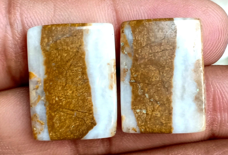 27.25ct Brown Palm Jasper Pair