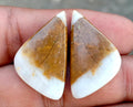 28.4ct Brown Palm Jasper Pair