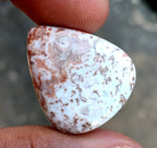 29.1ct Rosetta Jasper - alternate view 2