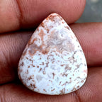 29.1ct Rosetta Jasper - alternate view 3