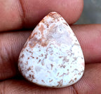 29.1ct Rosetta Jasper