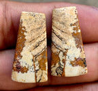 29.55ct Picture Jasper Pair - alternate view 2