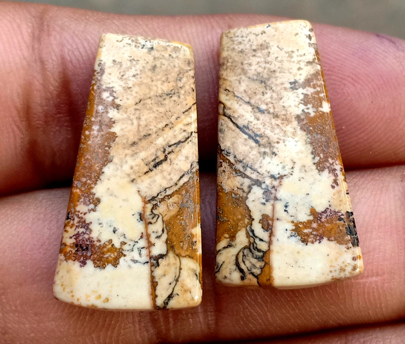 29.55ct Picture Jasper Pair