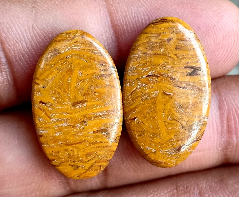 29.65ct Marium Jasper Pair