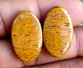 29.65ct Marium Jasper Pair