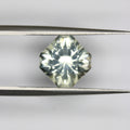 3.1ct Prasiolite