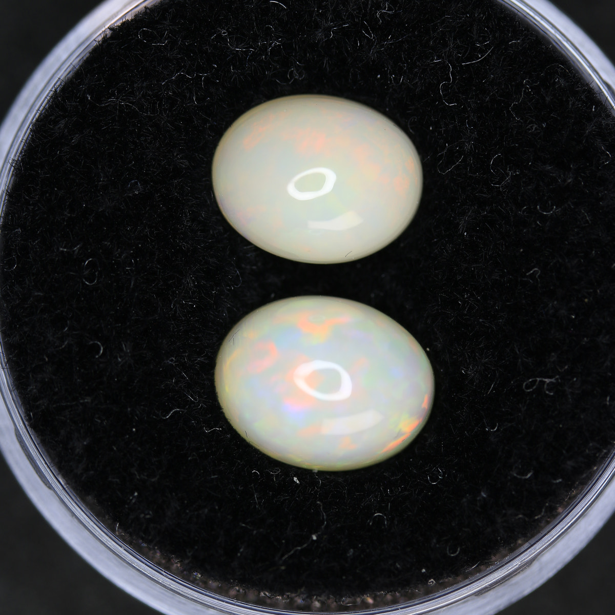 3.27ct Opal Welo Pair
