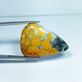 30.77ct Malingano Jasper