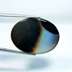 33.05ct Black Lace Agate - alternate view 2