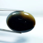 33.05ct Black Lace Agate - alternate view 3