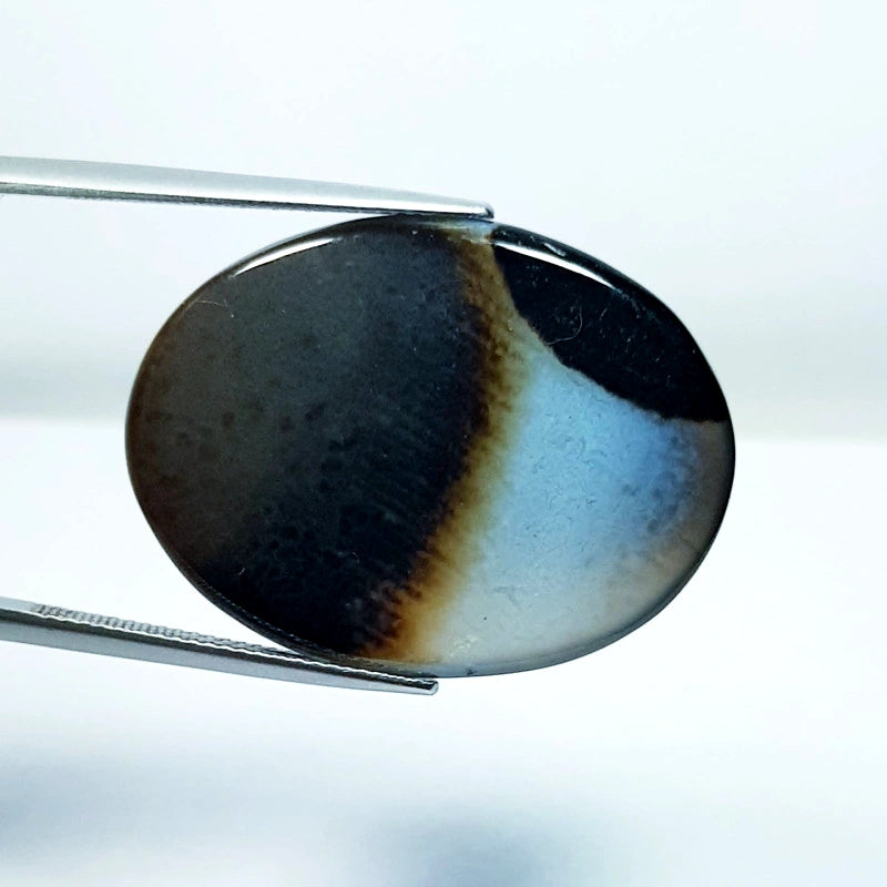 33.05ct Black Lace Agate