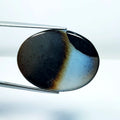 33.05ct Black Lace Agate