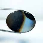 33.05ct Black Lace Agate