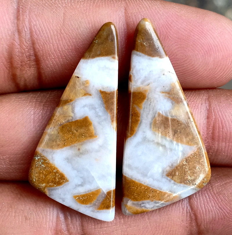 33ct Brown Palm Jasper Pair