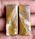 38.6ct Brown Palm Jasper Pair