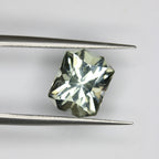 4.2ct Prasiolite - alternate view 2