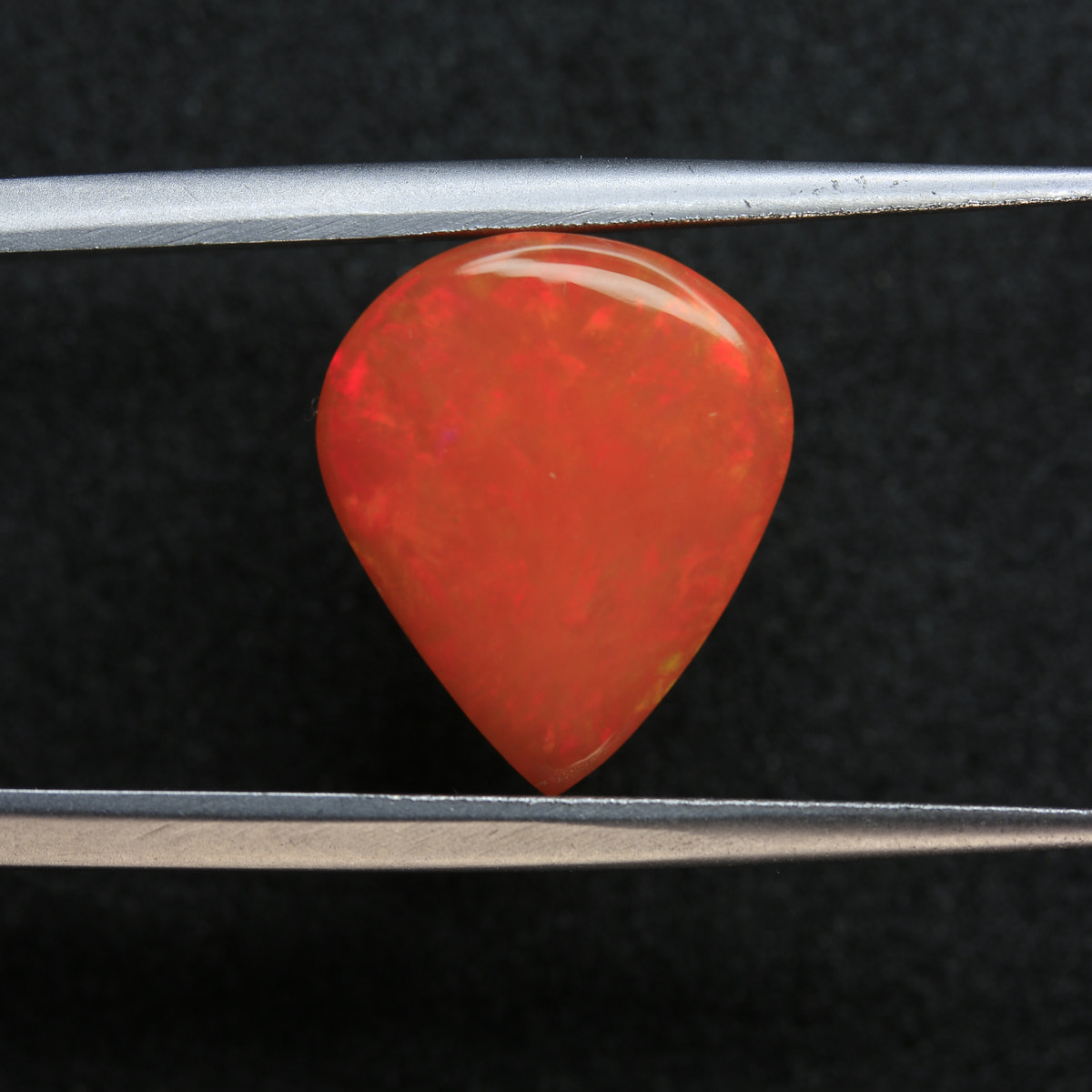 4.54ct Opal Orange welo