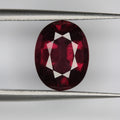 4ct Garnet Spessarite