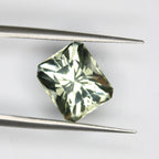 5.31ct Prasiolite