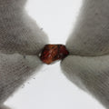 5.53ct Red Zircon Facet Rough