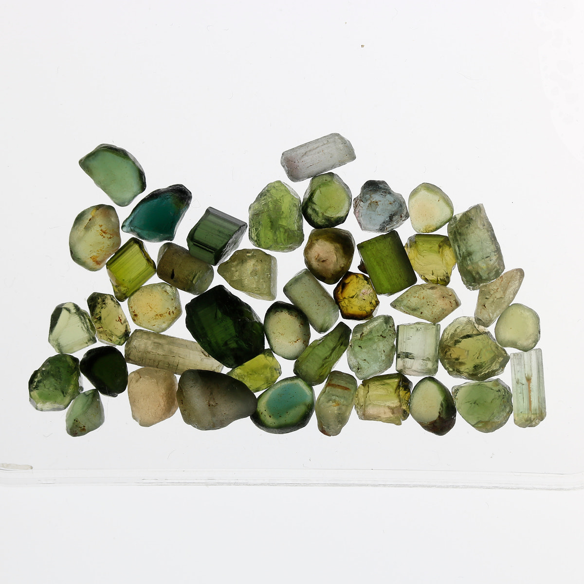 50.35ct Green Tourmaline Facet Rough Parcel